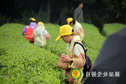 研學(xué)旅行團建拓展